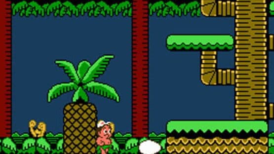 Adventure Island II — screenshot 3