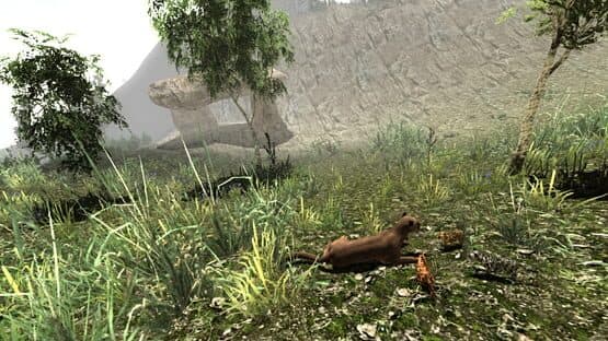 Untamed: Life of a Cougar — screenshot 5