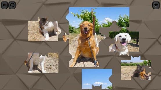 Puzzles for smart: Dogs — screenshot 1