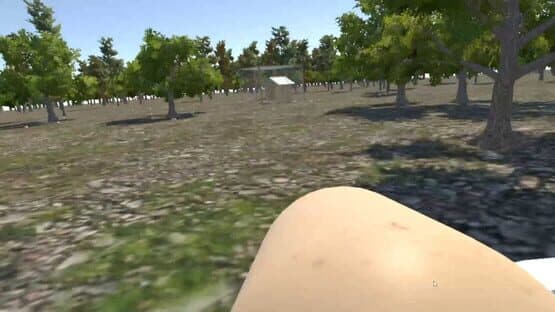 Chicken VR — screenshot 1