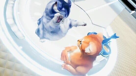 Kitten'd — screenshot 4