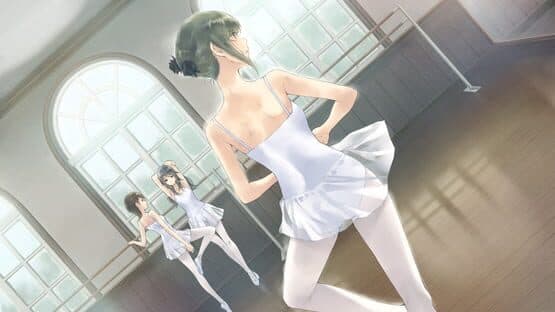Flowers: Le Volume sur Été — screenshot 1