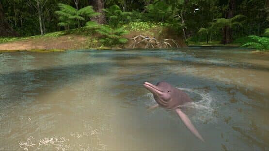 Amazon Odyssey — screenshot 2