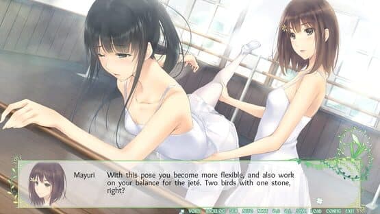 Flowers: Le Volume sur Printemps — screenshot 1