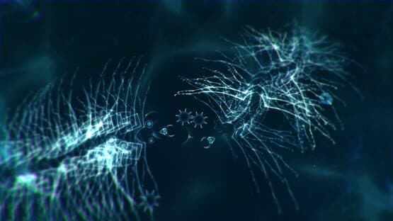 Sparkle Zero — screenshot 4