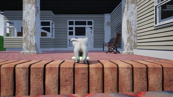 Kitten Madness — screenshot 3