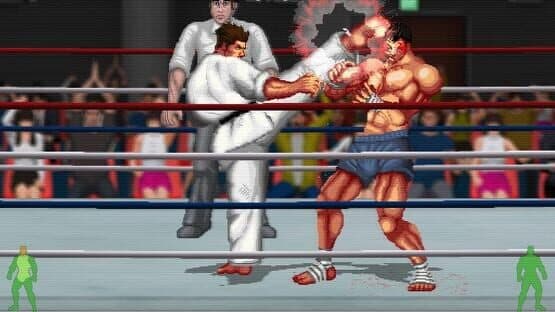 Karate Master 2 Knock Down Blow — screenshot 2