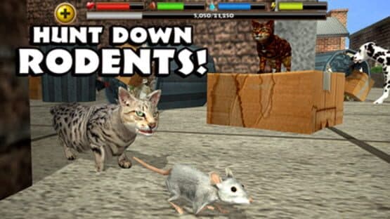 Stray Cat Simulator — screenshot 3
