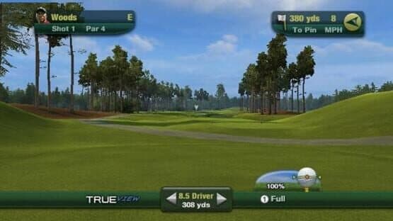 Tiger Woods PGA Tour 11 — screenshot 8