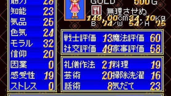 Princess Maker: Legend of Another World — screenshot 5