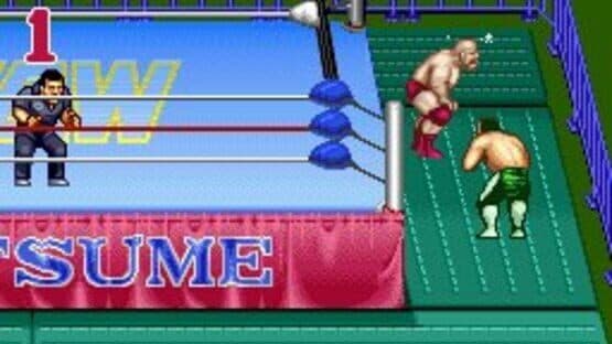 Natsume Championship Wrestling — screenshot 1