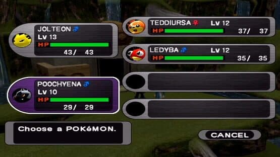 Pokémon XD: Gale of Darkness — screenshot 3