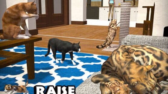 Ultimate Cat Simulator — screenshot 8