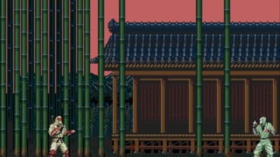 The Revenge of Shinobi — screenshot 1