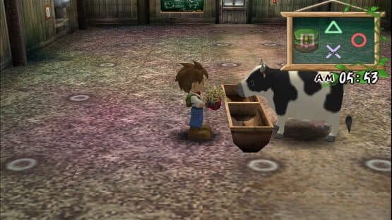 Harvest Moon: A Wonderful Life Special Edition — screenshot 3