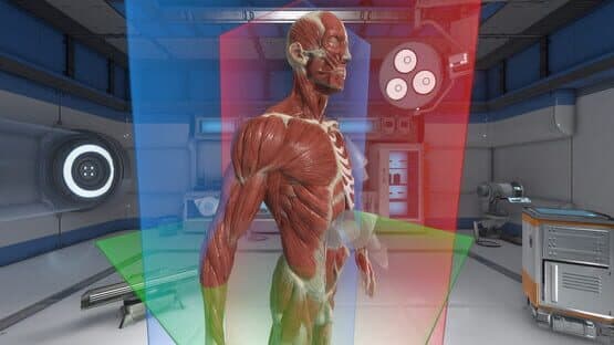 The Physiology of the Eye — screenshot 2