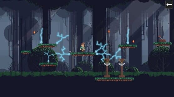 Platform Challenge — screenshot 1