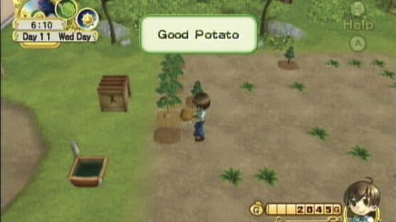 Harvest Moon: Tree of Tranquility — screenshot 8