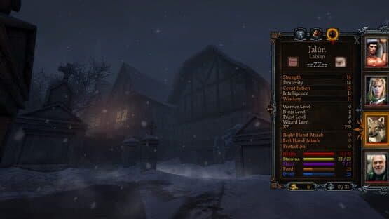 Dungeon Kingdom: Sign of the Moon — screenshot 1