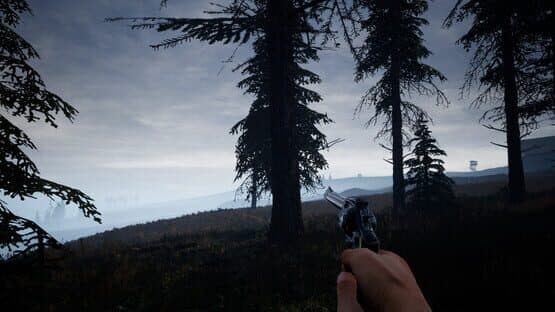 Desolation — screenshot 2