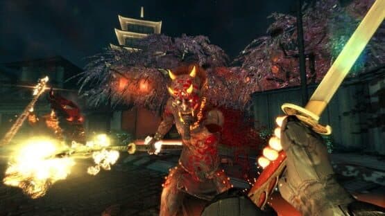 Shadow Warrior — screenshot 3