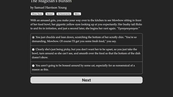 The Magician's Burden — screenshot 2