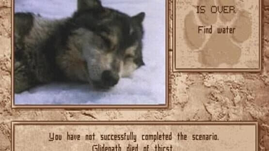 Wolf — screenshot 1