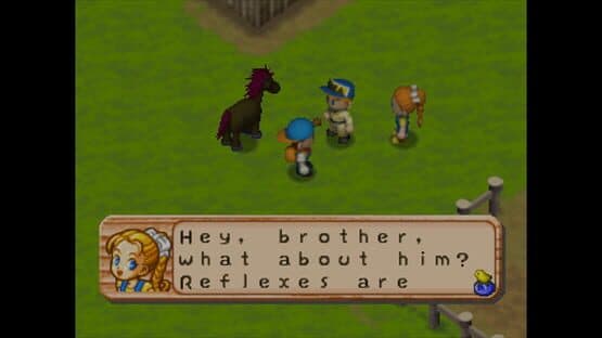 Harvest Moon 64 — screenshot 3