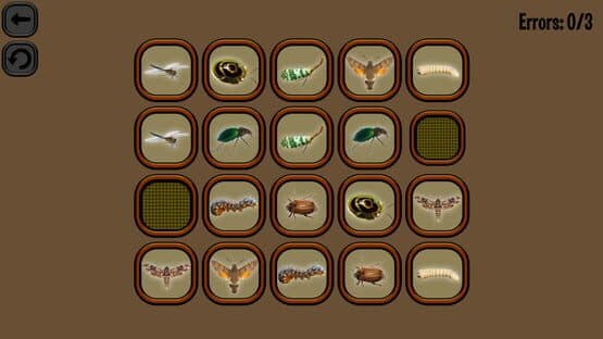 Animals Memory: Insect — screenshot 2