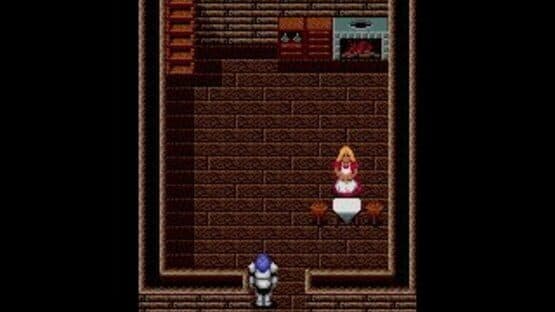 Sword of Vermilion — screenshot 7