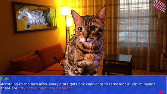 Cat President: A More Purrfect Union — screenshot 2