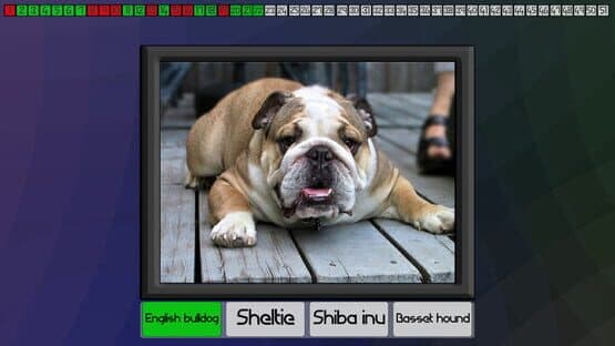 Test your knowledge: Dogs — screenshot 1