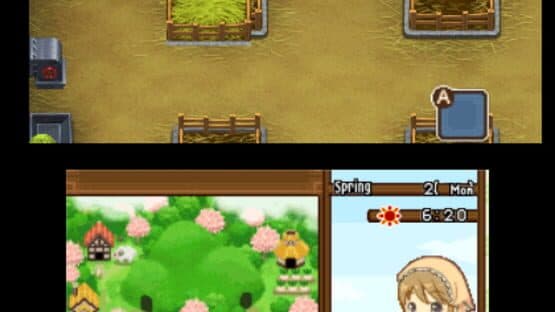 Harvest Moon: The Tale of Two Towns — screenshot 7