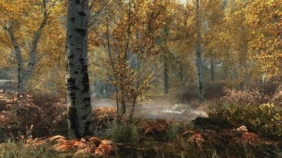 The Elder Scrolls V: Skyrim - Special Edition — screenshot 1