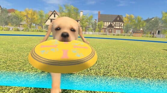 Dream Pet VR — screenshot 2