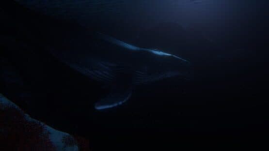 Beyond Blue — screenshot 3