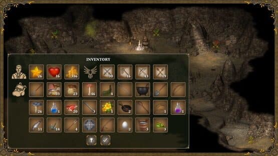 Hero of the Kingdom III — screenshot 4
