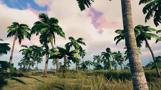 Survisland — screenshot 2