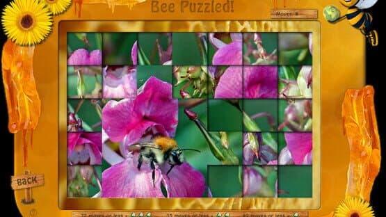 Bee Aware! — screenshot 6