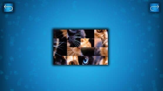 Puzzle: Cats & Dogs — screenshot 4