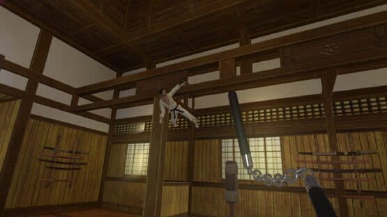 Kung Fu All-Star VR — screenshot 3