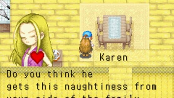 Harvest Moon: Friends of Mineral Town — screenshot 8