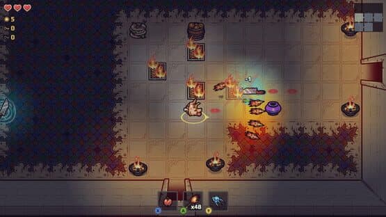 A Wizard's Lizard: Soul Thief — screenshot 5