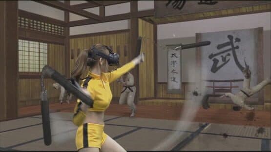 Kung Fu All-Star VR — screenshot 1