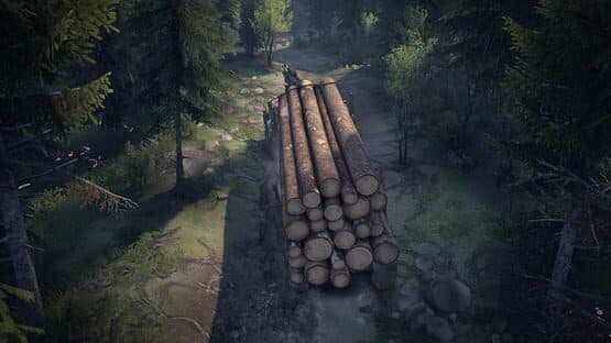 Spintires — screenshot 2