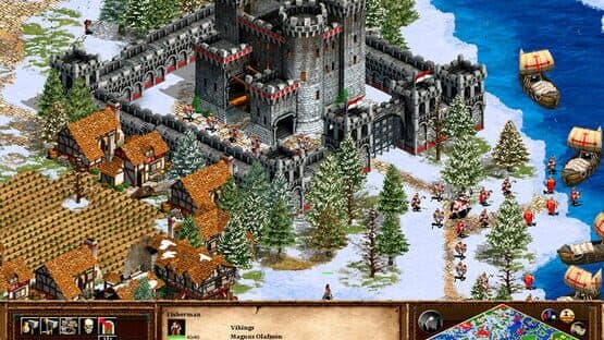 Age of Empires II: The Age of Kings — screenshot 3