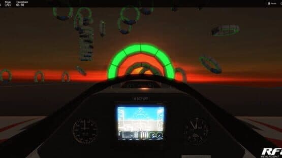 RealFlight 8 — screenshot 2