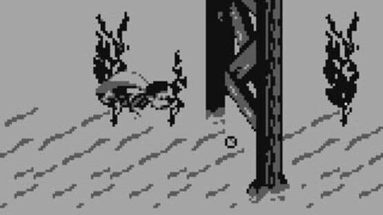 Donkey Kong Land III — screenshot 7