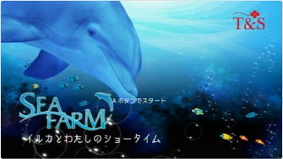 My Dolphin — screenshot 5