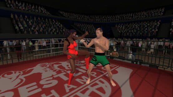 Wrestlers Without Boundaries — screenshot 3